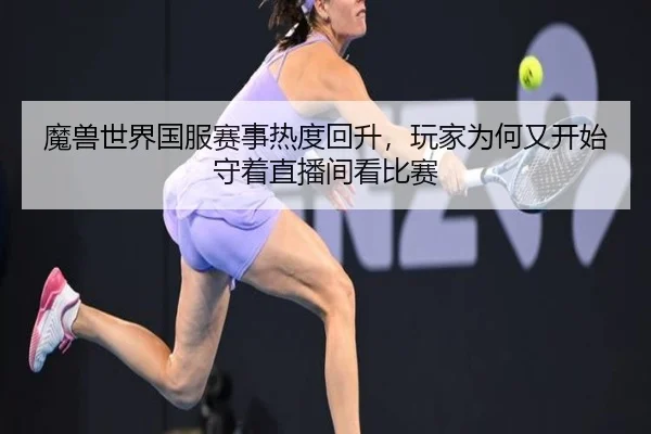 魔兽世界国服赛事热度回升，玩家为何又开始守着直播间看比赛